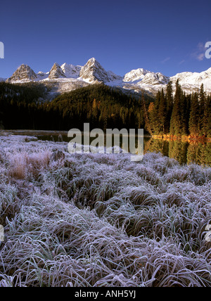 Herbst Frost auf dem Rasen am Rande der See der Insel mit Eidechse im Hintergrund, Britisch-Kolumbien, Kanada. Stockfoto