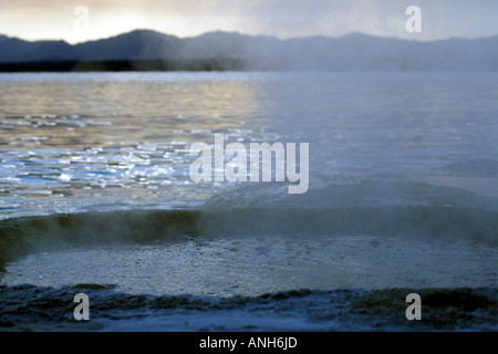 Angeln-Kegel, ein Thermal Pool dämpfen vor Yellowstone Lake, Wyoming, USA Stockfoto