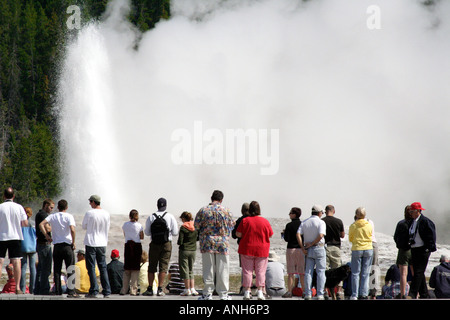 Old Faithful Geysir, Yellowstone-Nationalpark Stockfoto