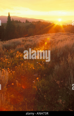 Sonnenuntergang am Mount Kobau in der Nähe von Osoyoos, Britisch-Kolumbien, Kanada. Stockfoto