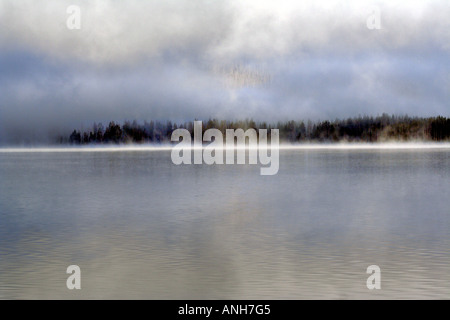 Wald über Yellowstone See, bedeckt im frühen Morgennebel, Yellowstone-Nationalpark Stockfoto