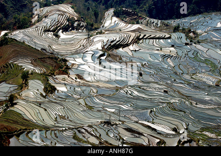 Aufstieg-Terrasse in China Yunnan Yunyang Stockfoto