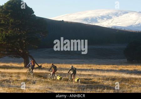 Bikepacking in den Cairngorms im winter Stockfoto