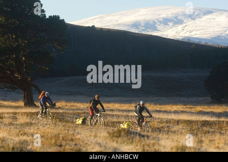 Bikepacking in den Cairngorms im winter Stockfoto