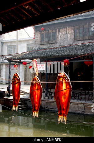 Schinken aus Fisch erhalten ist chinesischer Tradition Essen Stockfoto