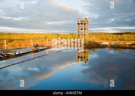 Aussichtsturm und Promenade in Männikjärve Moor Stockfoto