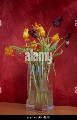 Verfallende Blumen Stockfoto