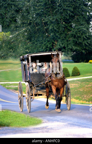 Amische Familie fahren im Buggy von Pferd gezogen Stockfoto