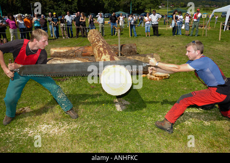 Holzfäller in Aktion Stockfoto