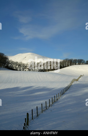 Schnee bedeckt die Pentland Hills im Hintergrund mit einem Zaun führt das Auge durch Farmland im Vordergrund Midlothian, Schottland Stockfoto