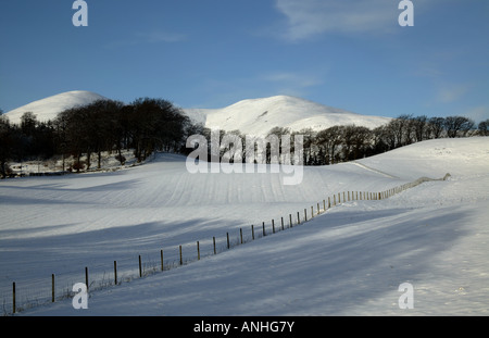 Schnee bedeckt die Pentland Hills im Hintergrund mit einem Zaun führt das Auge durch Farmland im Vordergrund Midlothian, Schottland Stockfoto