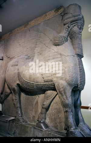 Riesigen assyrischen geflügelten Stier - British Museum 2 Stockfoto