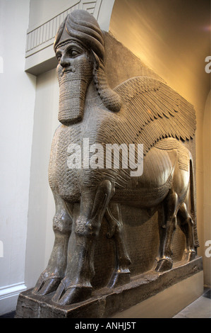 Riesige assyrischen geflügelten Stier-British Museum Stockfoto