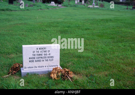 Grabstein für die Opfer der irischen Kartoffelknappheit 1845-1848 Abbeystrewry Cemetery, Skibbereen, County Cork, Irland Stockfoto