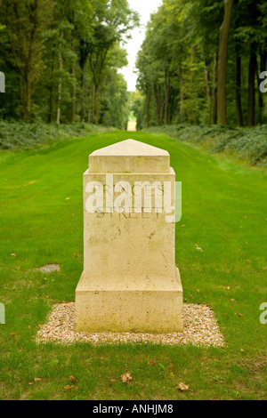 Stein-Wegweiser im Delville Wood in der Somme in der Nähe von Longueval Frankreich Stockfoto