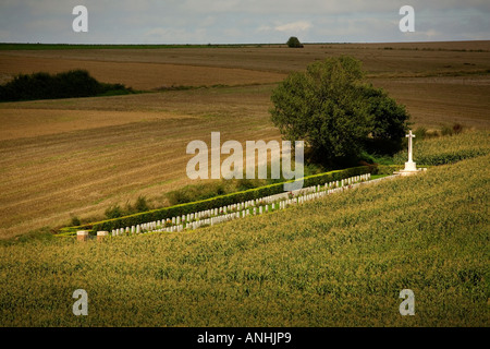 Beaumont-Hamel Friedhof mit Gräbern der britischen Soldaten auf dem Schlachtfeld der Somme in Frankreich Stockfoto