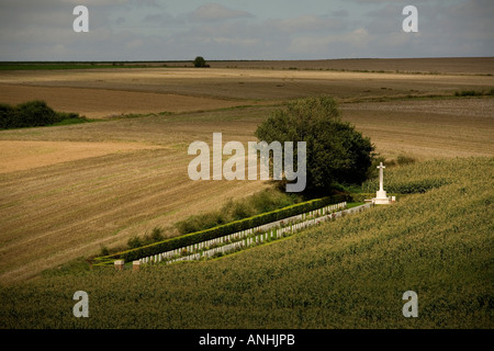 Beaumont-Hamel Friedhof mit Gräbern der britischen Soldaten auf dem Schlachtfeld der Somme in Frankreich Stockfoto