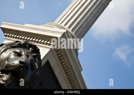 Die Basis des Nelson Säule auf dem Trafalgar Square, mit einem der Landseers Löwen teilweise sichtbar, London, England. Stockfoto