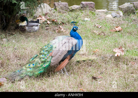 Gence Aserbaidschan 2005 Stockfoto