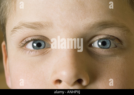 Gesicht des jungen, Blick in die Kamera, beschnitten Ansicht Stockfoto