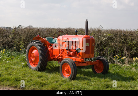 Nuffield Universal drei Traktor Stockfoto