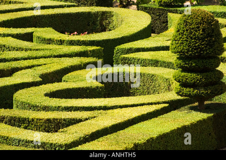 Herzförmige Hecke in den Zier-Gärten des Chateau de Villandry, Val de Loire, Touraine, Frankreich Stockfoto