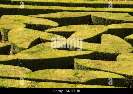 Herzförmige Hecke in den Zier-Gärten des Chateau de Villandry, Val de Loire, Touraine, Frankreich Stockfoto