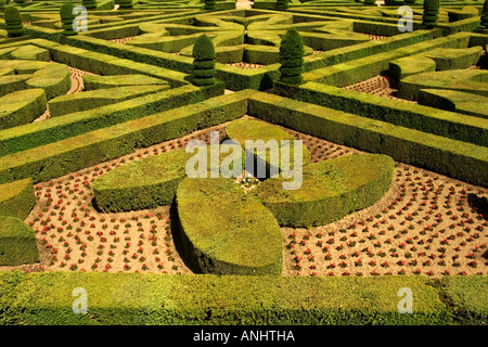 Herzförmige Hecke in den Zier-Gärten des Chateau de Villandry, Val de Loire, Touraine, Frankreich Stockfoto