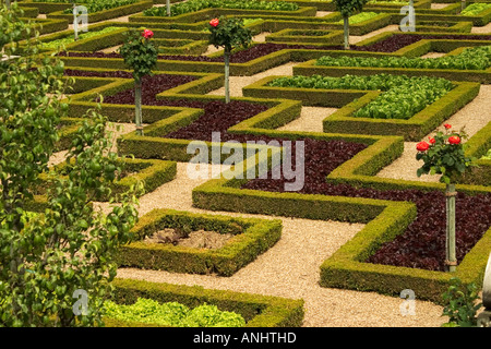 Die Zier-Gärten des Chateau de Villandry, Val de Loire, Touraine, Frankreich Stockfoto