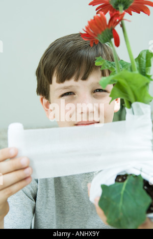 Junge Umhüllung Gaze um Gerbera Gänseblümchen, Blick in die Kamera Stockfoto