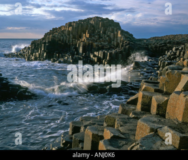 Der Giant's Causeway, Co. Antrim, Nordirland, Vereinigtes Königreich Stockfoto