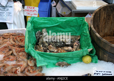 Austern zum Verkauf Borough Market London England Stockfoto