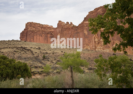 Genial aus rotem Sandstein, die Felswände im Capitol Reef National Park, Utah, USA Stockfoto