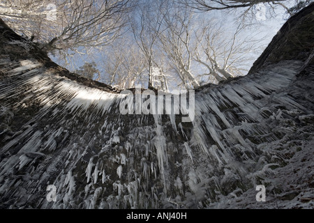 Stalaktiten in der Entraigues Kaskade Einstellung, im Winter (Frankreich). Stalaktiten Sur le Site De La Cascade d'Entraigues En Hiver. Stockfoto