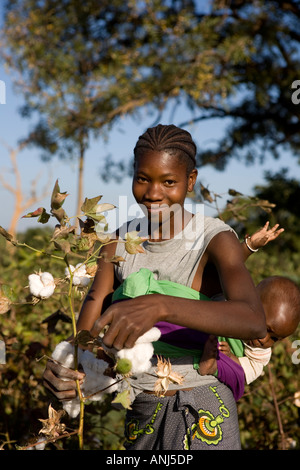Marouba Souko 18 Baumwolle Bauer in Mali Stockfoto