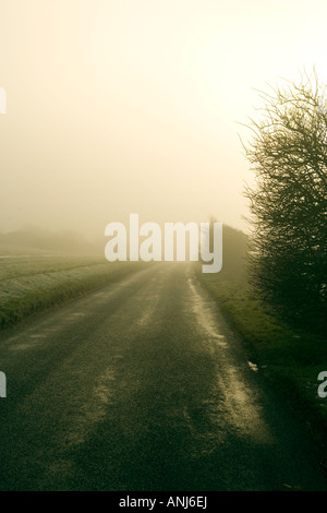 Nebligen Straßen im Winter, East Sussex England UK Stockfoto