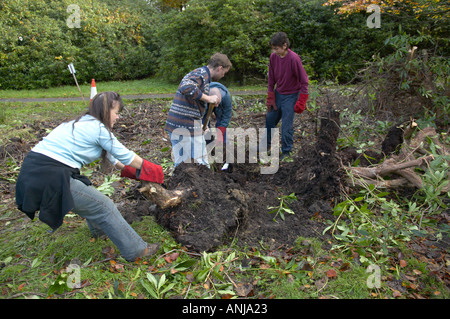 Naturschutz-freiwillige clearing ein Stück Brachland Stockfoto