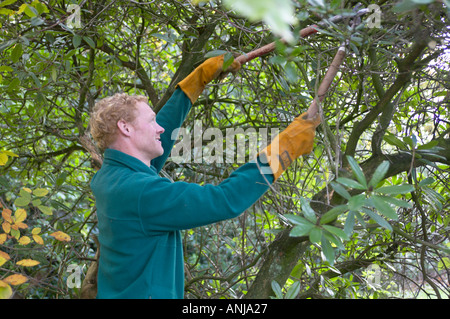 Naturschutz-freiwillige clearing ein Stück Brachland Stockfoto