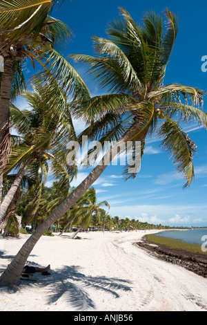 Smathers Beach, Key West, Florida Keys, USA Stockfoto