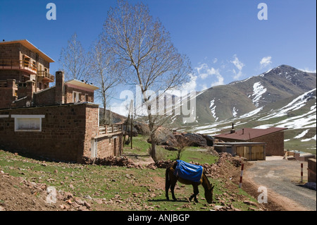 Marokko, südlich von Marrakesch, OUKAIMEDEN: Skigebiet in den hohen Atlas-Gebirge (e. 2600 m) Frühling Stadt Ansicht mit Pferd Stockfoto