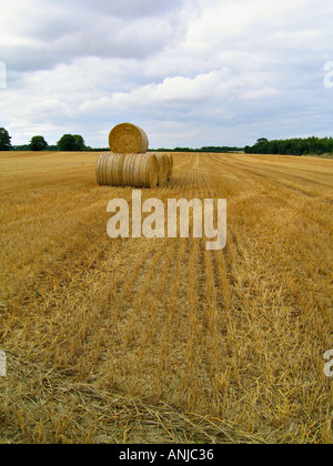 Heu-Kautionen in einem Feld von geschnittenen Mais in der Nähe von Woolsthorpe in Leicestershire, Großbritannien Stockfoto