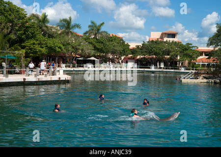 Dolphin Begegnung, Puerto Aventuras, Riviera Maya, Halbinsel Yucatan, Mexiko Stockfoto