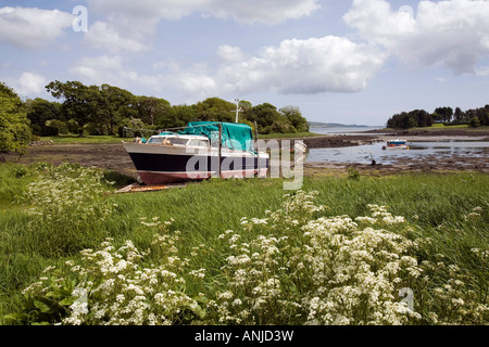 UK Nordirland County Down Ringdufferin Boote in der kleinen Bucht bei Ebbe Stockfoto