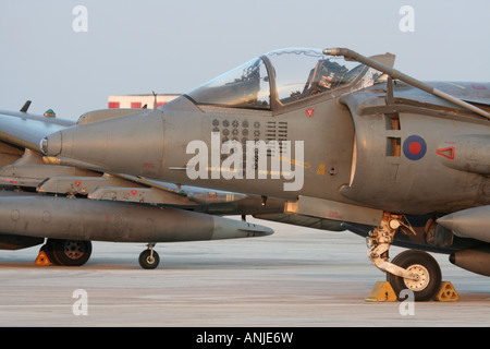 Royal Air Force Harrier GR7A mit Mission Markierungen aus Afghanistan Stockfoto