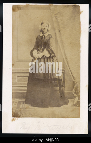 Nachtigall Anon Foto Stockfoto