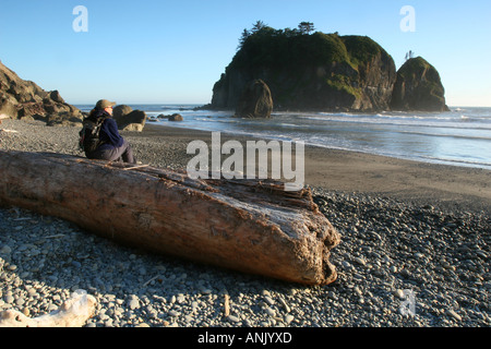 Eine Frau sitzt auf einem Baumstamm als sie den Sonnenuntergang im Olympic Nationalpark, Washington erwartet Stockfoto