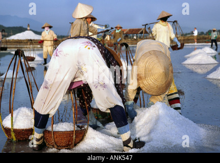 Frauen, die Ernte Salz Nha Trang Vietnam Stockfoto