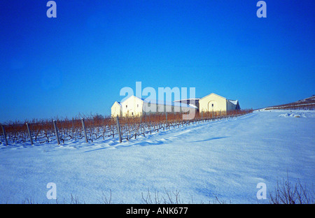 Die Disznoko Weingut und Weinberg in Tokaj unter Schnee im Winter. . Das Disznókő Weingut gehört AXA Millésimes, einer französischen Versicherungs-Gesellschaft. Disznoko bedeutet Schweinskopf, da ein großer Stein im Weinberg angeblich so aussieht. Das neue Weingut ist beeindruckend und eine große Menge an Geld investiert worden. Stockfoto