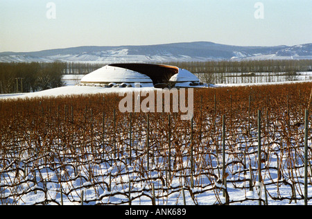 Disznoko Weinberg und berühmte Traktor Garage, gestaltet im Stil ungarischen Bio. Im Winter... Das Disznókő Weingut gehört AXA Millésimes, einer französischen Versicherungs-Gesellschaft. Disznoko bedeutet Schweinskopf, da ein großer Stein im Weinberg angeblich so aussieht. Stockfoto