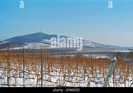 Blick vom Disznoko Weinberg: der Tokajer Berg. Auf die anderen Seite ist das Dorf Tokaj. Das Disznókő Weingut gehört AXA Millésimes, einer französischen Versicherungs-Gesellschaft. Disznoko bedeutet Schweinskopf, da ein großer Stein im Weinberg angeblich so aussieht. Stockfoto